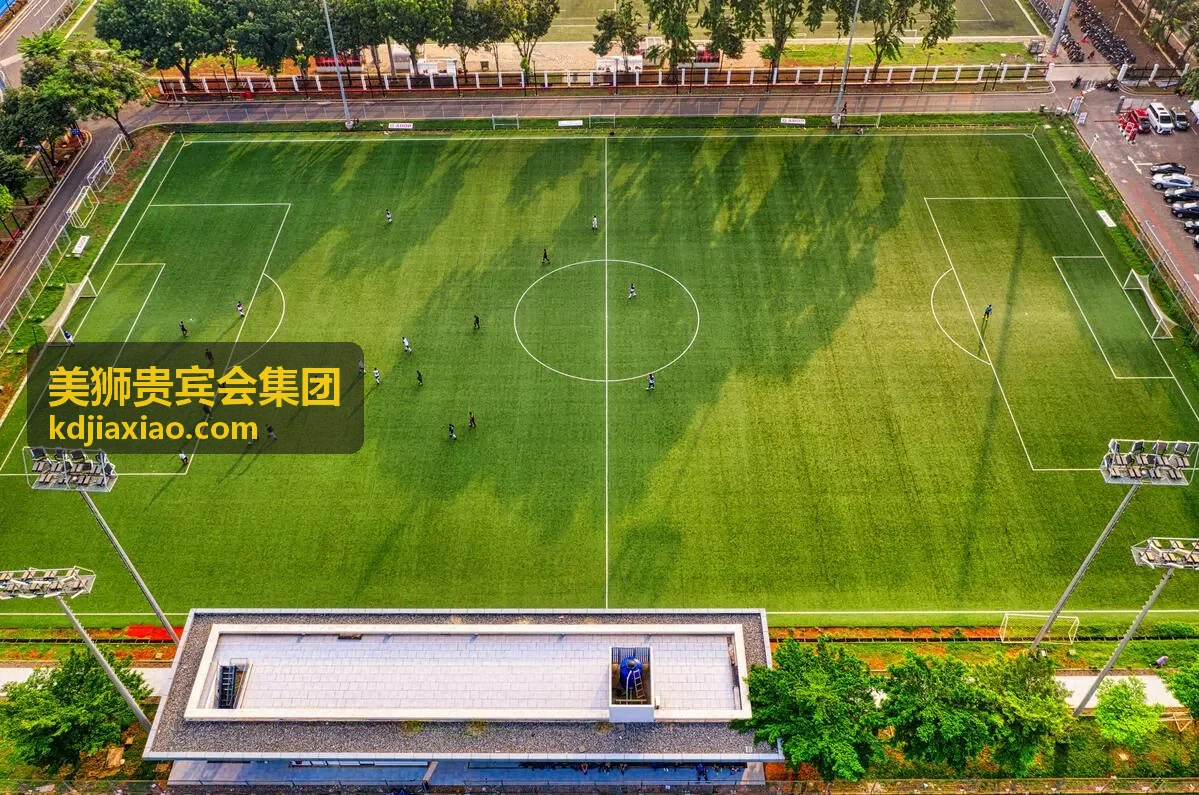美狮贵宾会战略咨询